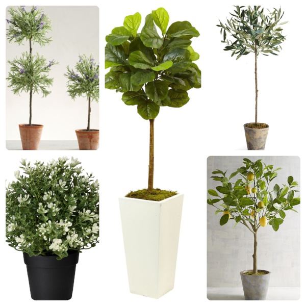 5 Farmhouse Faux Plants For Your Home featured by top AL home decor blogger, She Gave It A Go