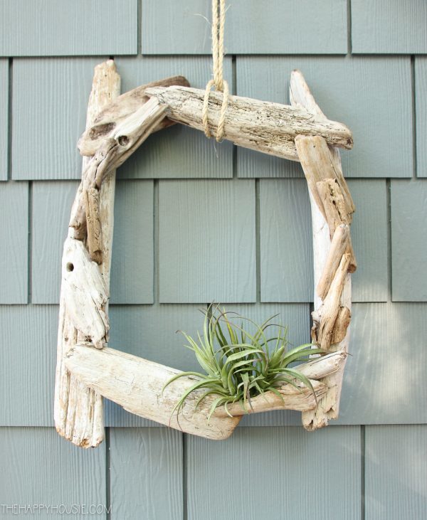 easy-DIY-driftwood-wreath-with-air-plants-20-600x731.jpg