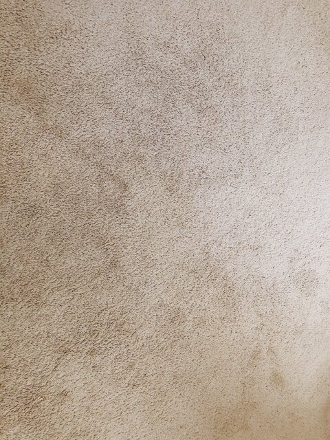 carpet.JPG