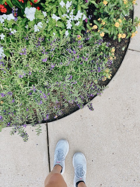  Christian Playlist for your Summer Road Trip featured by top AL lifestyle blogger, She Gave It A Go | Christian Playlist by popular Alabama lifestyle blog, She Gave It A Go: image of some purple, white, yellow, and red flowers growing in a garden. 