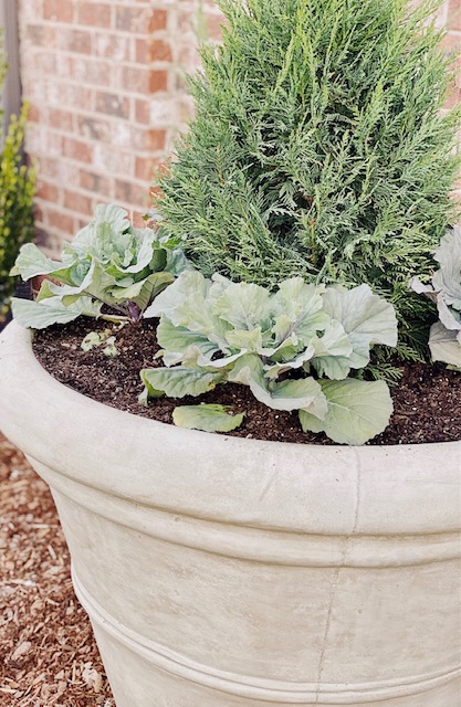 Expert Front Yard Landscape Ideas featured by top AL lifestyle blogger, She Gave It A Go