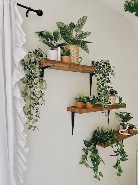 Diy Rustic Shelves Shelf Styling Ideas She Gave It A Go - Diy Plant Wall Shelf Ideas