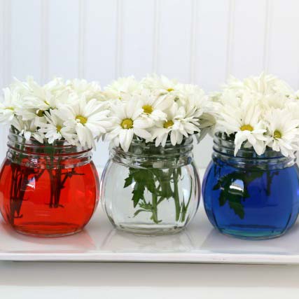 DIY Memorial Day Table Decorations featured by top AL home and lifestyle blogger, She Gave It A Go |Memorial Day Table Top Decorations by popular Alabama DIY blog, She Gave It A Go: image of small round glass vases filled with red, clear or blue water and white daisies. 