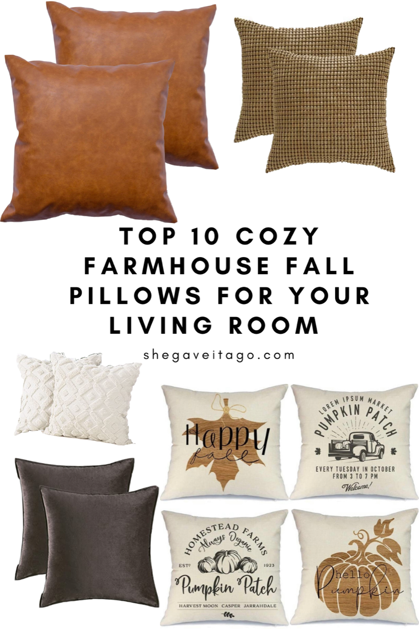 Cozy Farmhouse Fall Pillows for the Living Room featured by top US home decor blogger, She Gave It a Go