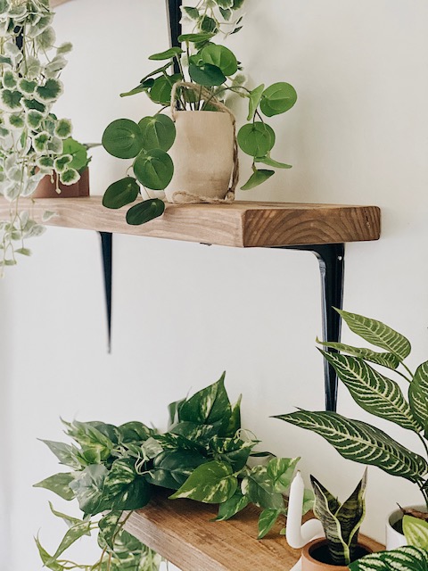 quick and easy DIY SHELVES WITH PLANTS STYLED ON THEM